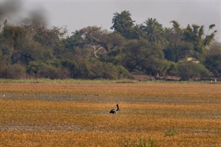 Ghana