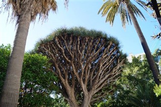 জিব্রালটার