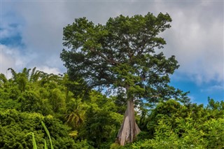 Grenada