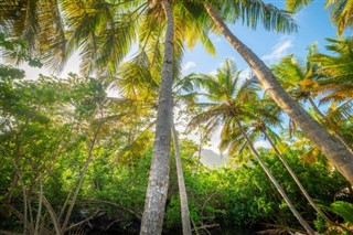 Guadelupa