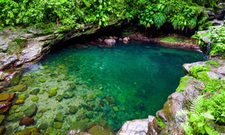 Guadeloupe