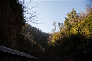 குவாம்