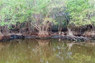 গুয়াটেমালা