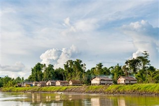 கினி