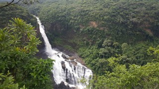 গিনি