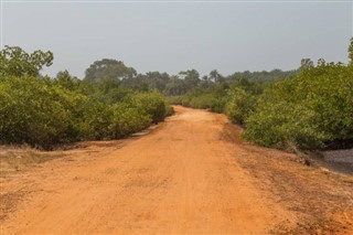 Гвінея-Бісау