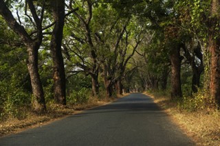 গিনি-বিসাউ