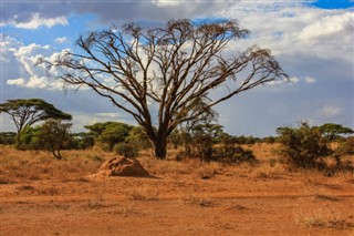 Bissau-Guinea