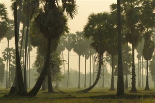 Haïti