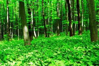 হাঙ্গেরি