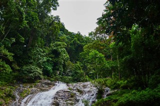 ইন্দোনেশিয়া