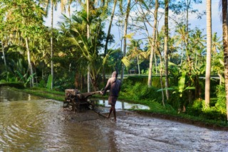 இந்தோனேஷியா