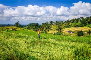 Indonesië