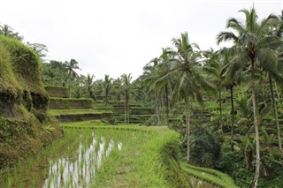 ইন্দোনেশিয়া