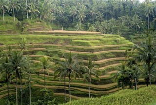 ইন্দোনেশিয়া