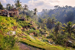 ইন্দোনেশিয়া