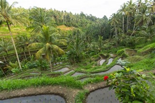 Indonezia