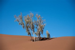 イラン