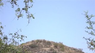 ఇజ్రాయెల్