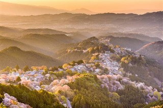 Japani