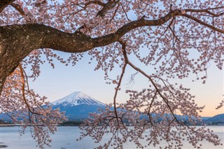 Japani