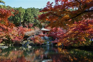 Japani