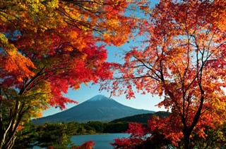 Japonia