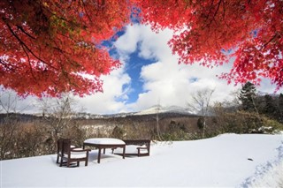 Japonya