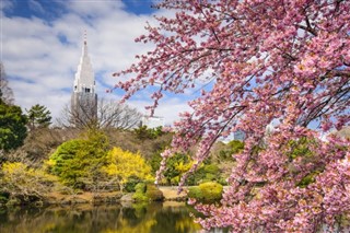 Japonia