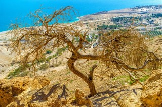 اردن