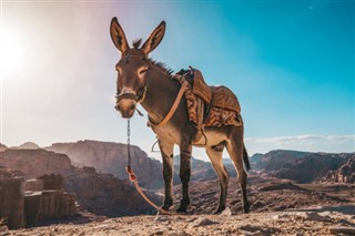 Jordanië