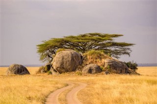 Kenya dự báo thời tiết Kenya