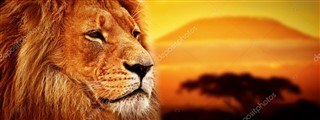 Kenia