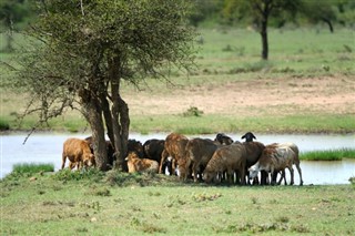 Kenya dự báo thời tiết Kenya