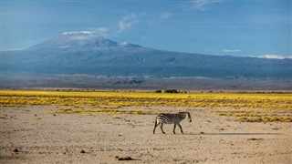 Kenya