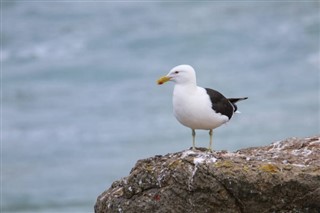 Kiribati