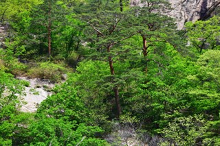 韩国，北方