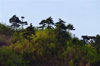 韩国，北方