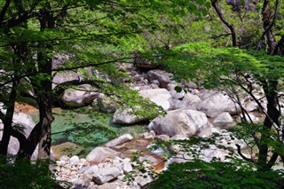 韩国，北方