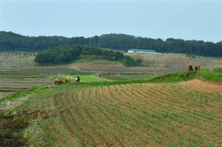 Pohjois-Korea