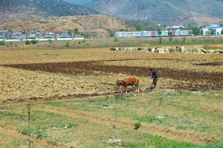 Korea,