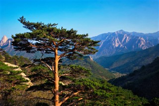 Sør-Korea