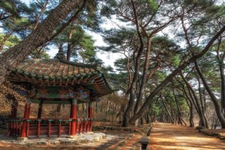 Corea
