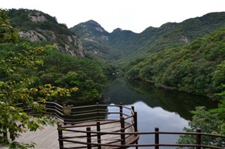 Güney