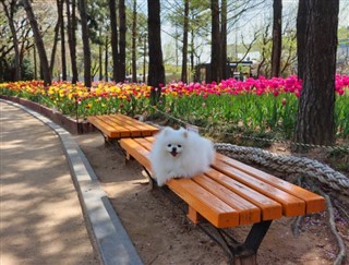 Південна