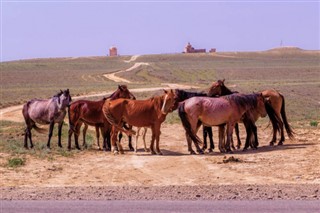 Kyrgyzstan