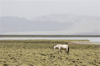 قرغيزستان