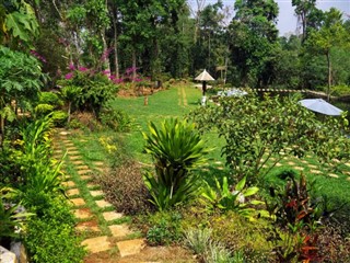 লাত্তস