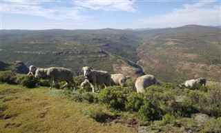 Lesotho