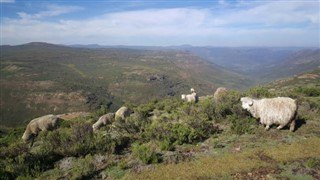 Lesotho